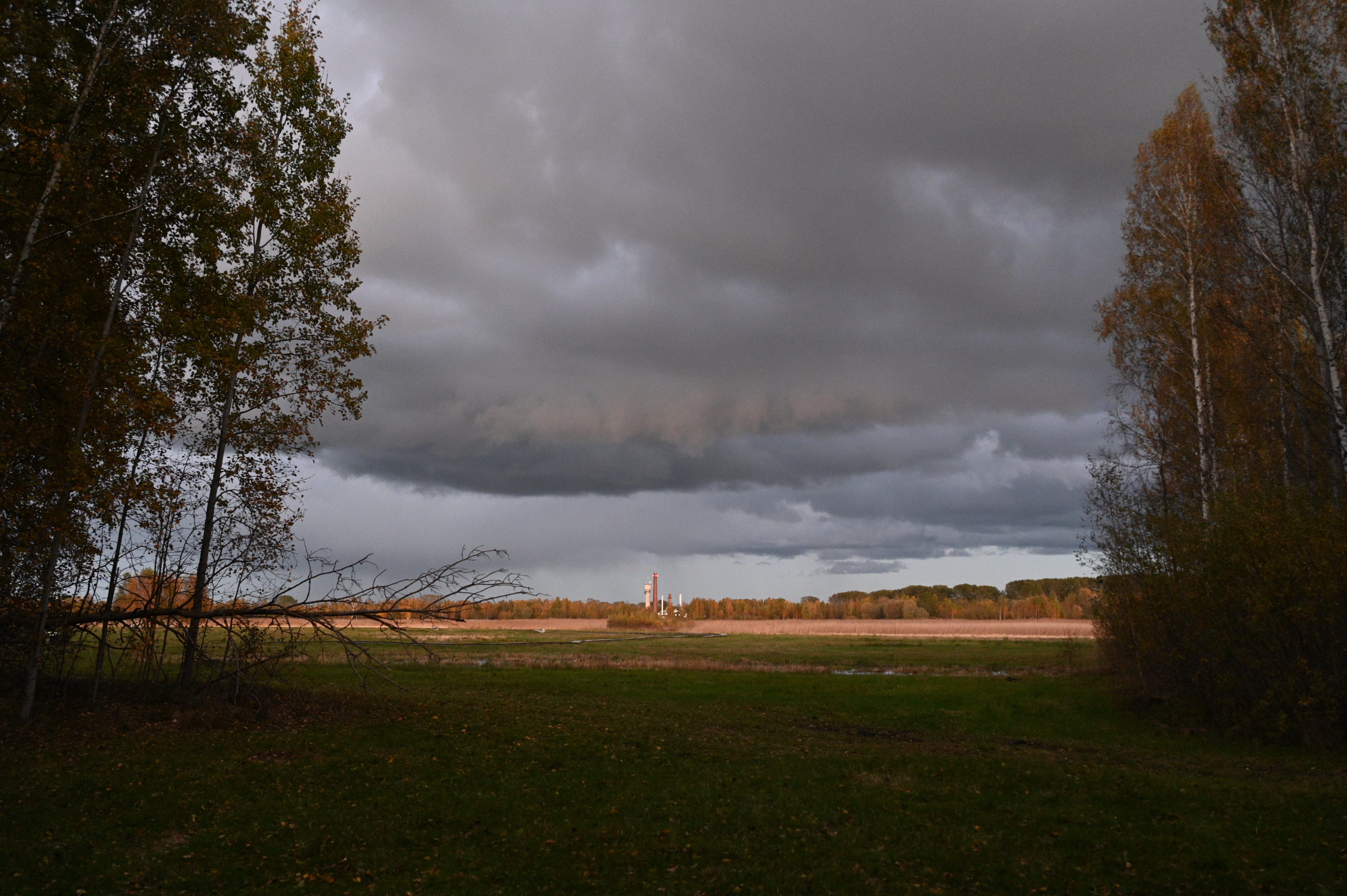 2025/10/18 - walk/DSC_0594.JPG